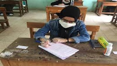 نائب محافظ الإسماعيلية يتفقد لجان 