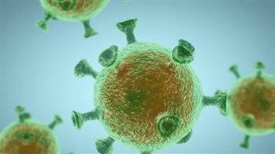 ما حقيقة قدرة البعوض على نقل فيروس كورونا إلى البشر؟