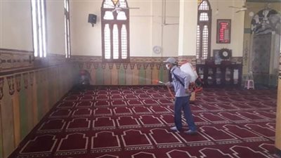 مساجد الدقهلية تستعد لاستقبال المصلين.. صور