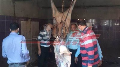 ضبط نصف طن كحول وأختام لحوم مزورة في حملة تموينية بـ”المنوفية“ 