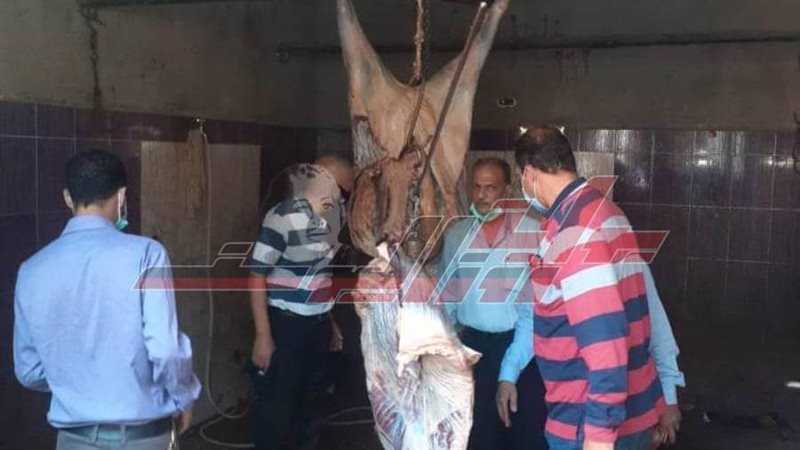 حملات تموينية علي