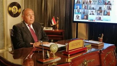 عاجل..نص إفادة مصر التاريخية عن سد النهضة لمجلس الأمن ورسائلها الحاسمة 