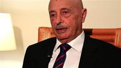 عقيلة صالح أمام الدوما الروسي: المجتمع الدولي فرض الاقتتال بين الليبيين