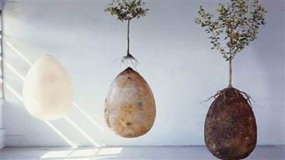 اختراع كبسولة تحول جثتك لشجرة بعد موتك - فيديو