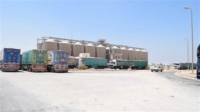 صوامع المنيا تستقبل 304 آلاف طن من الأقماح