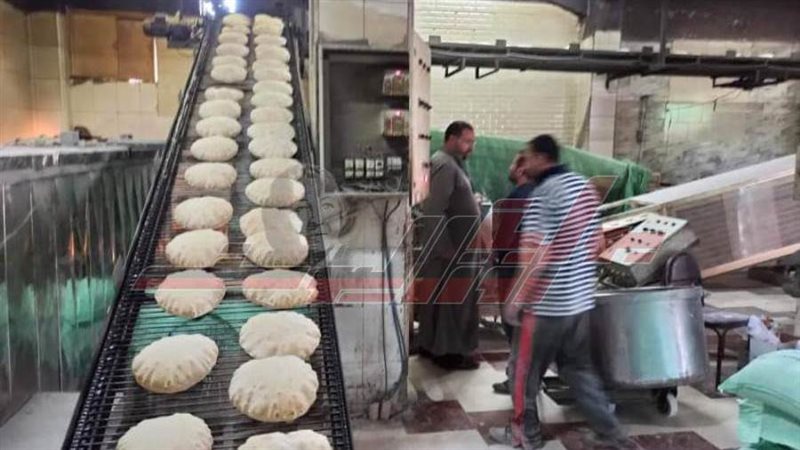 حملات تموينية بالمنوفية