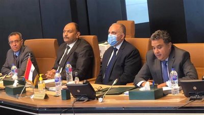 الفريق المصري يستعرض مع المراقبين والخبراء الموقف إزاء ملء وتشغيل سد النهضة