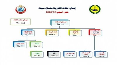 صحة شمال سيناء تعلن شفاء 118 مصابًا بكورونا 