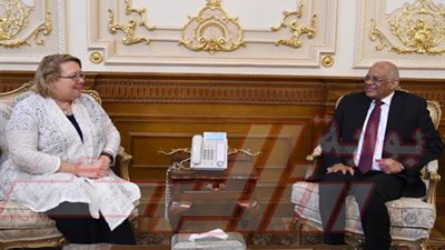 د. عبد العال يستقبل سفراء 