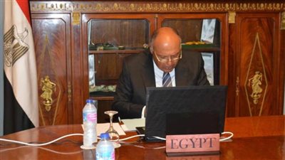 شكري يؤكد دعم مصر الكامل لمسار التعاون بين إفريقيا وروسيا