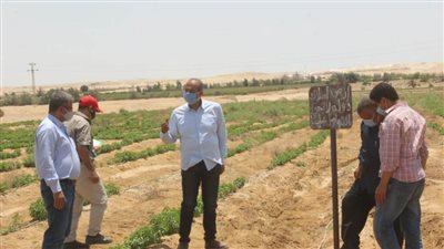 محافظ المنيا: استرداد 632 فدان أملاك دولة بشرق النيل 