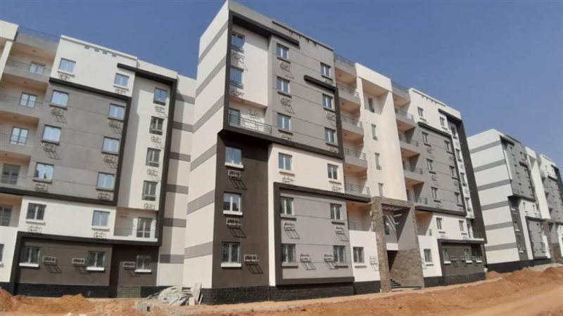 مساعد نائب رئيس هيئة