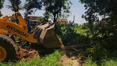 إزالة ٣٩ حالة تعد بالإسماعيلية