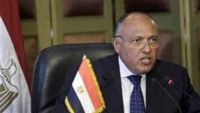 شكري ينفي ادعاء وزير خارجية تركيا بوجود اتصالات بين القاهرة وأنقرة بخصوص ليبيا