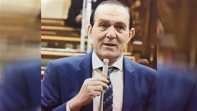 برلماني: القيادة المصرية تتحرك في كافة الاتجاهات من أجل الحفاظ على حقها في مياه النيل