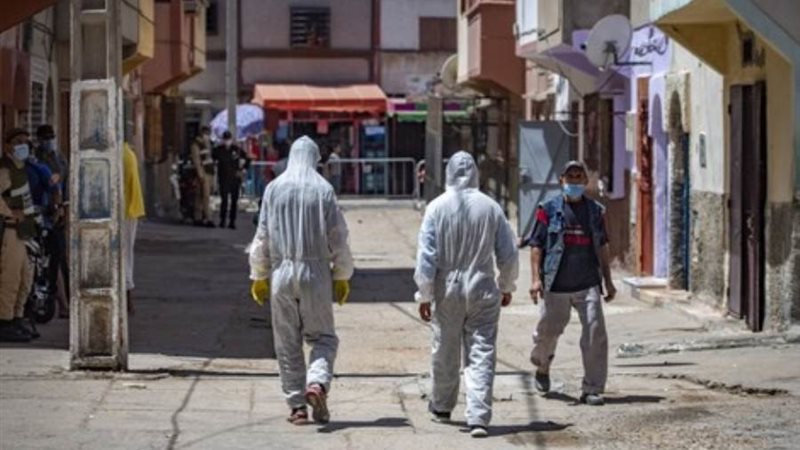 بوابة روز اليوسف