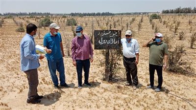 البحيرة.. سحب 531 فدانا من غير الجادين في التقنين