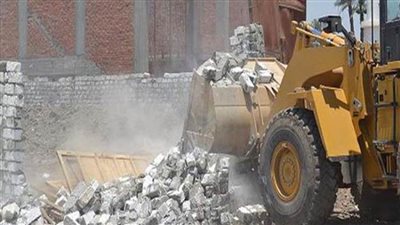 إزالة التعديات علي ١٣٧ فدانًا بحي الجناين 