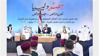 عاجل.. الرئيس السيسي يوضح المقصود بخط 