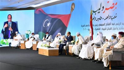 عاجل.. الرئيس السيسي: نرفض التدخلات الأجنبية في ليبيا ولن نقف مكتوفي الأيدي
