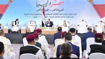 سياسيون: مصر ستظل حصن الأمن والأمان للأشقاء العرب