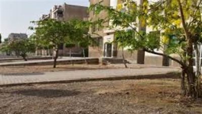 بدء تنفيذ مشروع رفع كفاءة وصيانة المسطحات الخضراء بالشروق