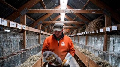 مذبحة إسبانية ضد 