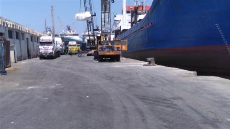 نشاط بميناء الإسكندرية