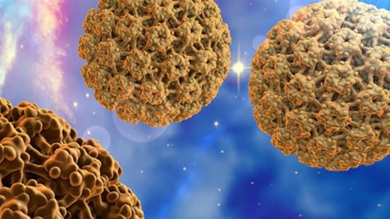 فيروس الورم الحليمي..