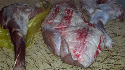 تحرير 17 محضرًا وضبط لحوم غير صالحة للاستهلاك الآدمي بالبحيرة