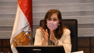 وزيرة التخطيط أمام النواب: دستور 2014 تضمن الحقوق الاقتصادية والاجتماعية للمواطنين