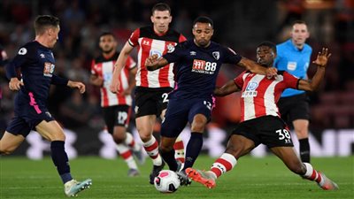 ساوثهامبتون يفوز على بورنموث بهدفين نظيفين 