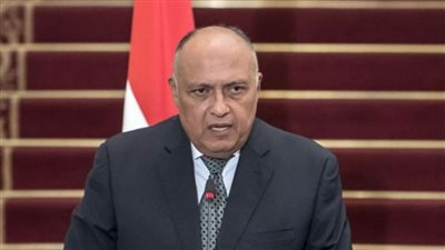 شكري يؤكد لـ