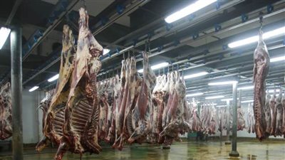 مجازر القاهرة تعمل 24 ساعة في العيد