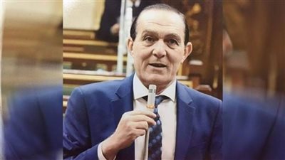 برلماني: مصر يد واحدة في مواجهة أي عدو يفكر في تهديد أمنها القومي