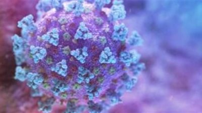 فلسطين وماليزيا تبحثان سبل التعاون في مواجهة كورونا