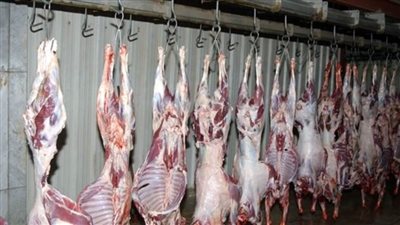 حظر ذبح الأضاحي بنهر الطريق و3 آلاف جنيه غرامة للمخالفين بالجيزة 