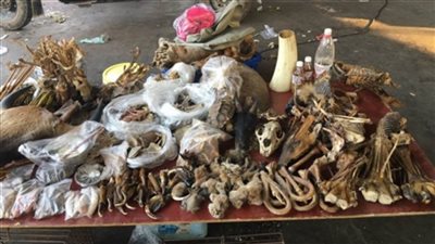 فيتنام تعلق الإتجار بالحياة البرية لتقليل مخاطر ظهور أوبئة جديدة