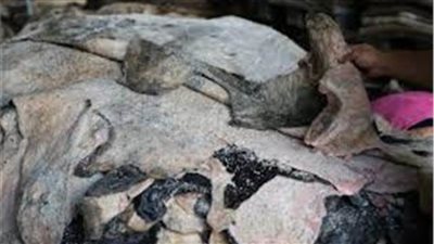 حظر نقل وحفظ جلود الأضاحي إلا بتصريح من الطب البيطري بالجيزة