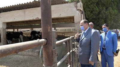 محافظ أسيوط يتفقد مزرعة الثروة الحيوانية بقرية الحمام بمركز أبنوب