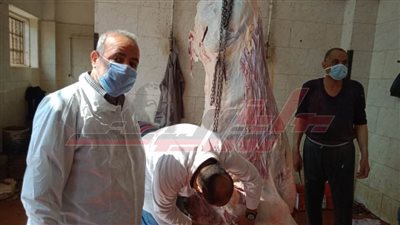 مجازر القليوبية تستقبل الأضاحي بالمجان أول أيام العيد.. والدخول بالكمامة