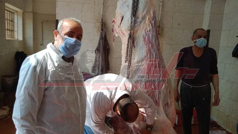 الذبح داخل المجازر