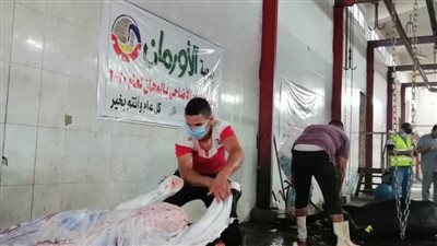 ذبح عجول وتوزيعها على محدودي الدخل بقرى البحيرة
