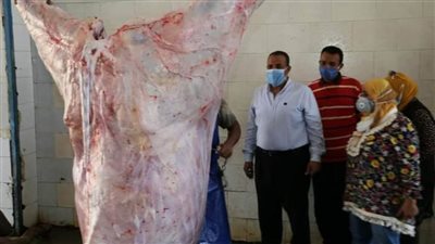 متابعة أعمال المحور الآلي بمحافظة السويس