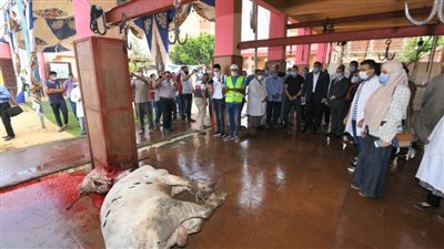 محافظ الدقهلية يتابع ذبح الأضاحي بمجزر طنامل