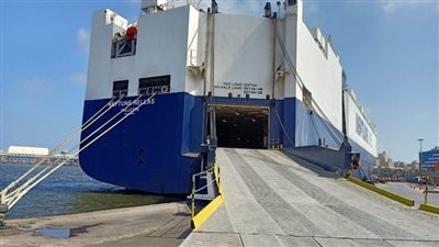 تداول 109 آلاف طن و2034 حاوية بميناء الإسكندرية 