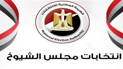 موسم انتخابات مجلس الشيوخ 2020 في مصر.. 7 حرف تنتعش في هذا الموسم