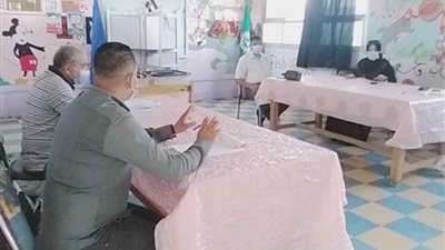 مجلس الشيوخ| توزيع كمامات مجانية على الناخبين بالدقهلية