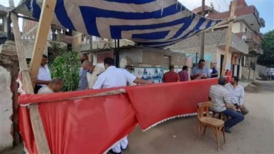 قائمة أسماء مرشحو مجلس الشيوخ المصري 2020 بدائرة قطاع القاهرة وجنوب ووسط الدلتا