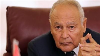 أبو الغيط: الجامعة العربية مستعدة لأي تحقيق جاد 